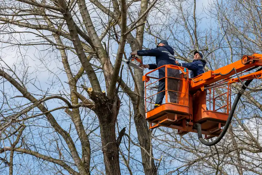 Quality Tree Removal Enterprise, AL