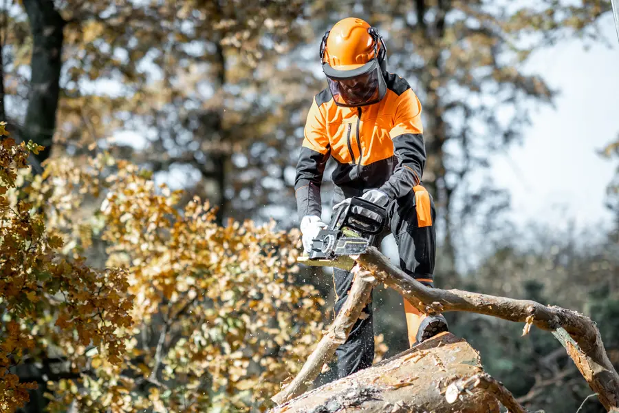 Safe Tree Cutting In Urban Areas Enterprise, AL