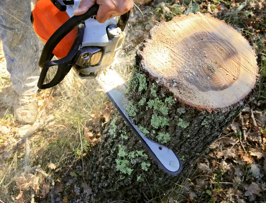 Safe Tree Cutting In Urban Areas in Enterprise, AL