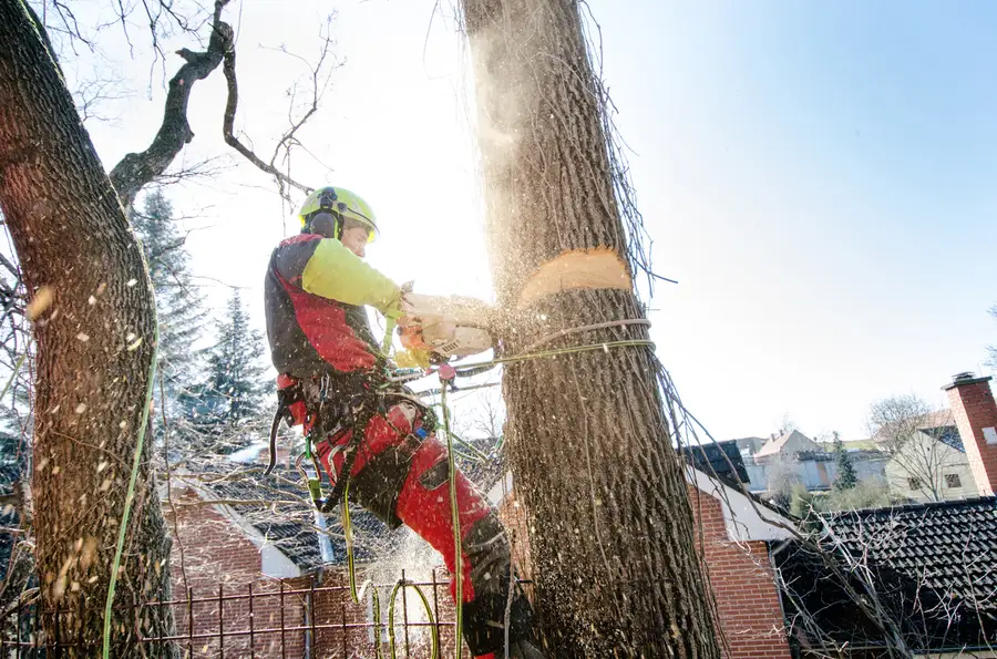 Superior Tree Cutting Service Enterprise, AL
