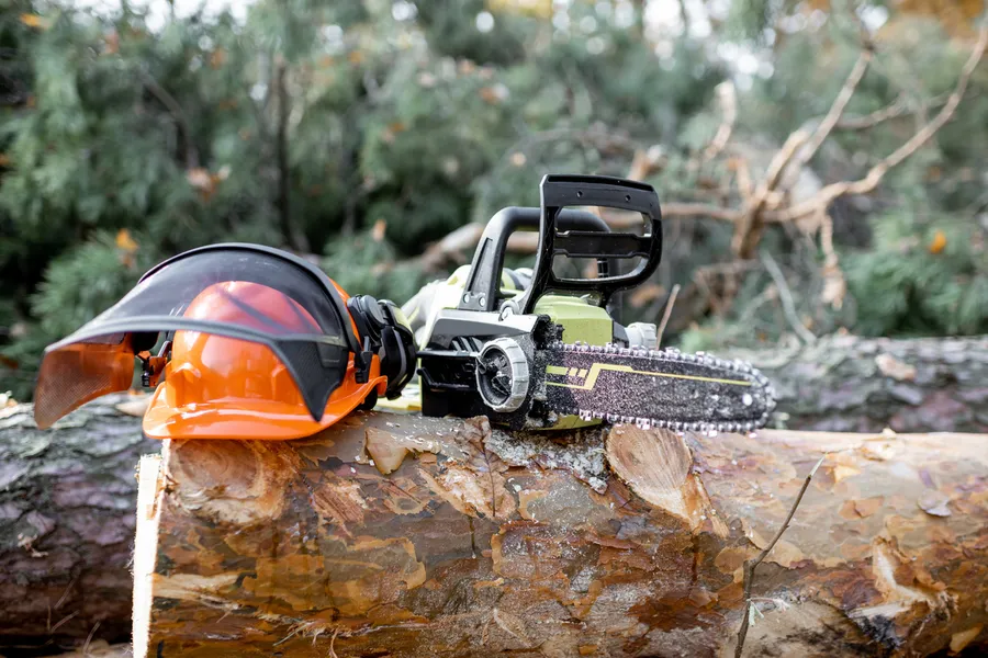 Tree Cutting And Insurance Compliance Elba, AL Tree Cutting And Insurance Compliance Elba, AL